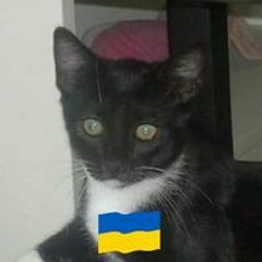 Krzysztof Flaszowski