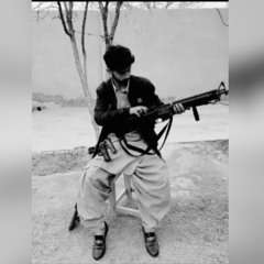 WALI_KHAN