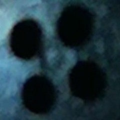 n.