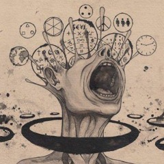 insanitytrip