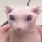 Lil BigToe