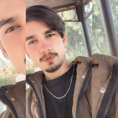 Ａｈｓａｎ Ｍａｌｉｋ🍄