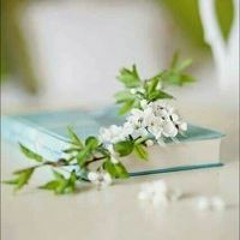 Sawsan Ali