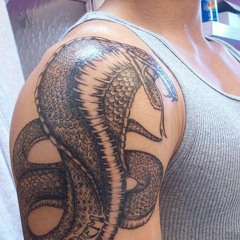 kyle stenning
