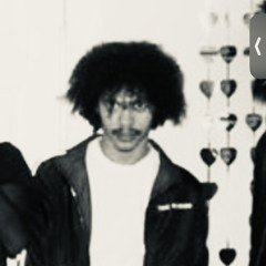 FlyDolo