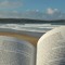 Coastal Isle