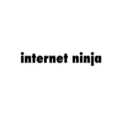Internet.ninja.bgm