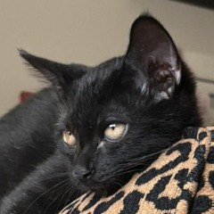 ella