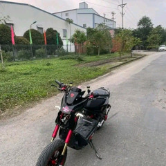 Trương Việt Thái