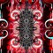 geomorphism