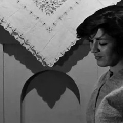 نور سليمان