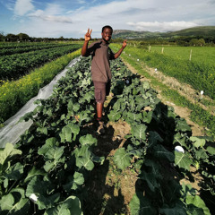 Arthur Muzvuru