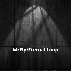 Mr-Fly/Eternal Loop
