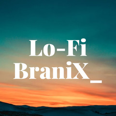 Lo-Fi BraniX_
