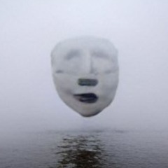Go4Face