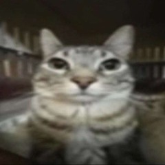 Elouan