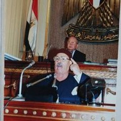 mohamed abdElmohsen elshahawy