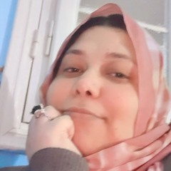 nehal Elmohandess