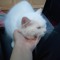 LouiseNotHere
