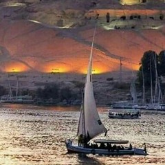 داااااابود العاصمة