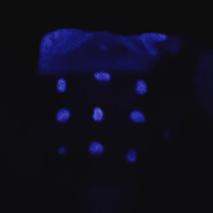SXILLOW
