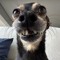 unknownuser1637