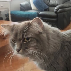 Unfinished (2nd mix)