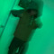 ny.frqnkbindxtt