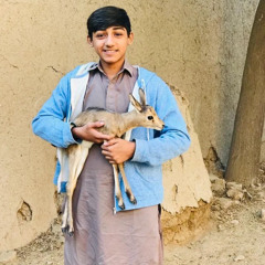 Faqeer Bux umrani⚜️❤️