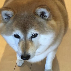 Eka