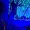 Forestsoul