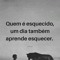 Passarinho D Ml Caranca Do Mal