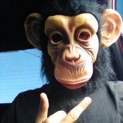 Revolt Monkey Collective