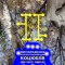 Коцюбіївлянин Перевмит Коцюбіївах