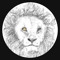leokrates_music, 🦊 alias DrBeats®️