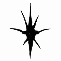 DARCROWN