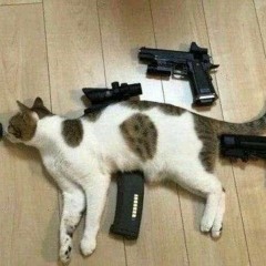 Cattix