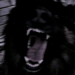 HzllXhounds