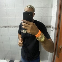 DJ 2F DE SG - PERFIL II
