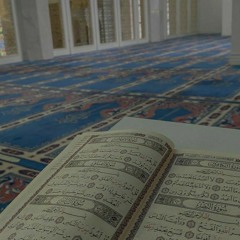Aya Muhammed