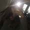 Signe