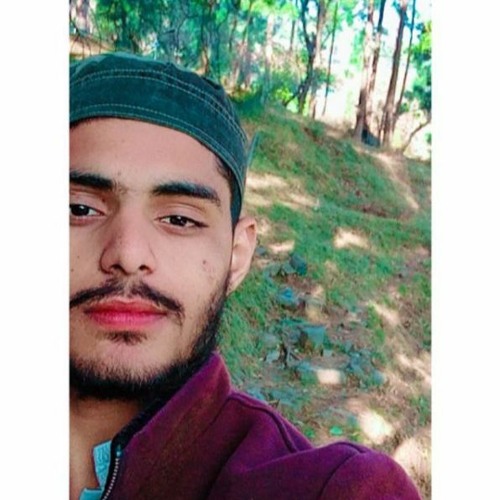 Asim Niyazi’s avatar