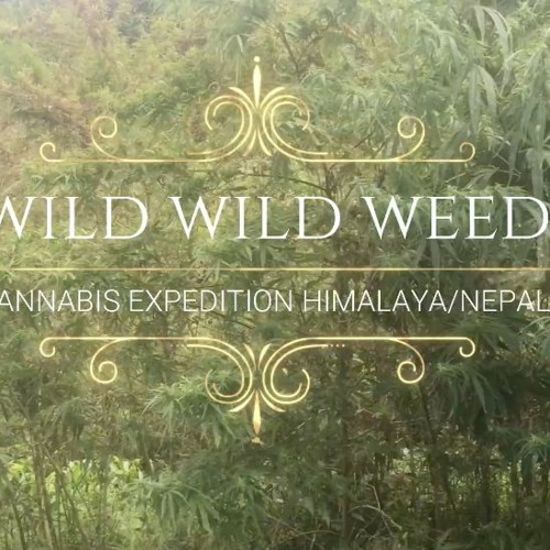 Stream WILD WILD WEED SONG by WILD WILD WEED Soundtrack Listen online for free on SoundCloud