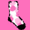 the secret socks