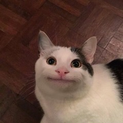 회정