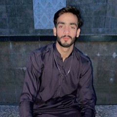 Hassan Malik 👑