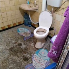 卑劣な鳥