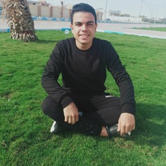 Mohamed Awad