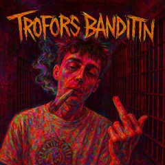 Den Nord Norske Ørna