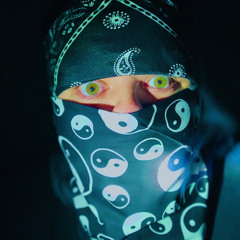 STL NiNjA